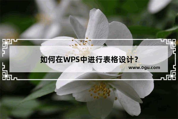 如何在WPS中进行表格设计？