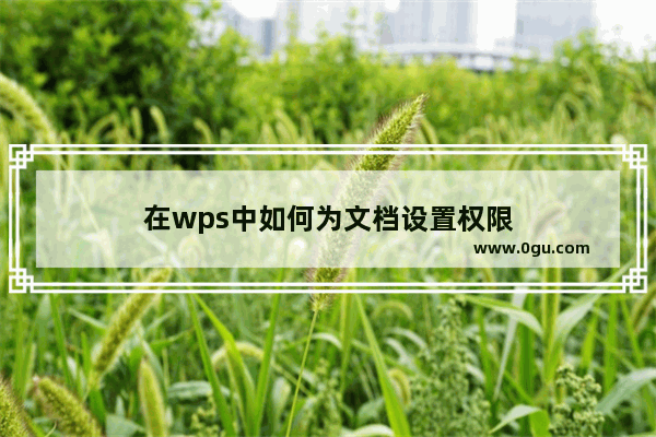 在wps中如何为文档设置权限