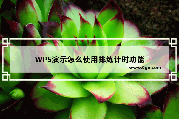 WPS演示怎么使用排练计时功能