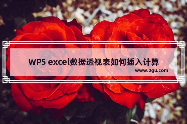 WPS excel数据透视表如何插入计算字段