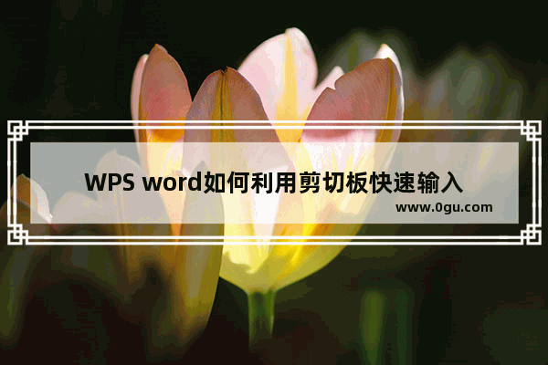 WPS word如何利用剪切板快速输入