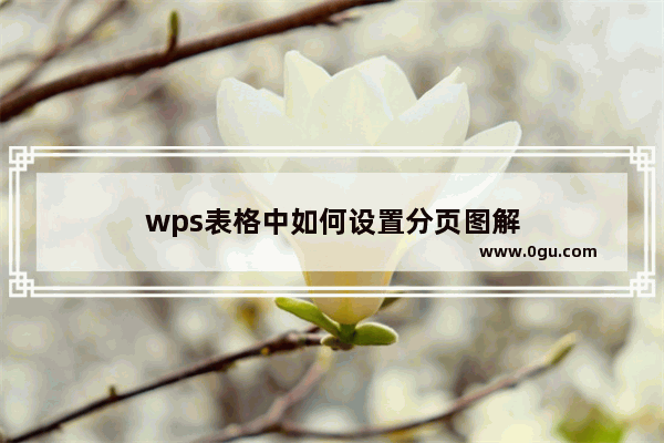 wps表格中如何设置分页图解