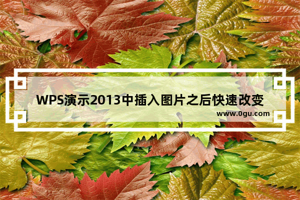 WPS演示2013中插入图片之后快速改变图片形状的方法