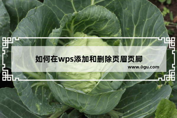 如何在wps添加和删除页眉页脚