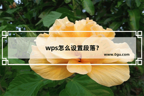 wps怎么设置段落？
