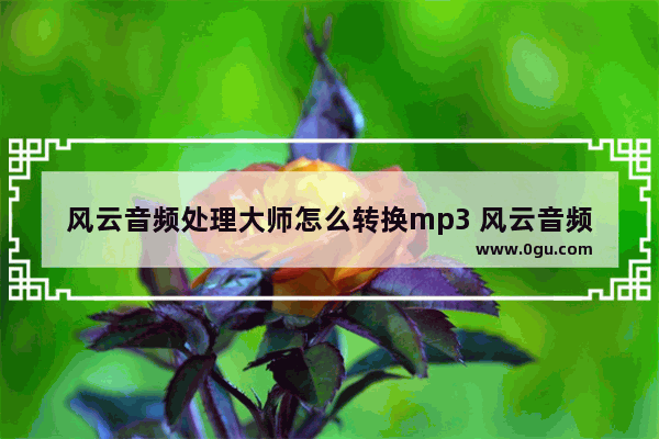 风云音频处理大师怎么转换mp3 风云音频处理大师转换音频格式的方法
