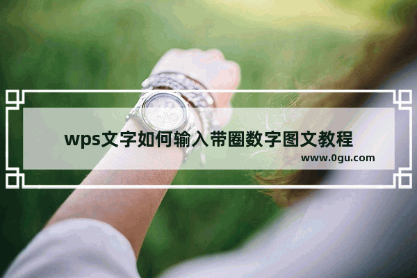 wps文字如何输入带圈数字图文教程