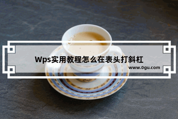 Wps实用教程怎么在表头打斜杠