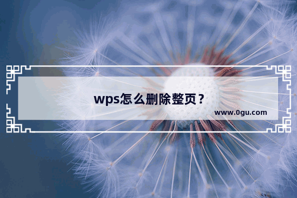 wps怎么删除整页？