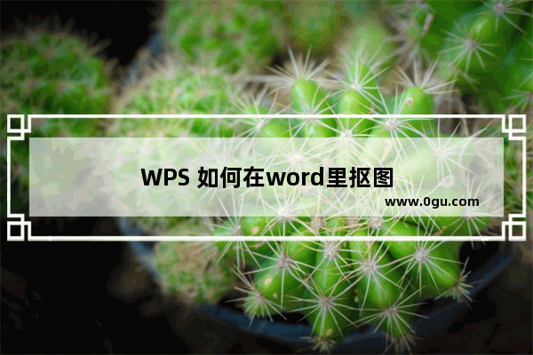 WPS 如何在word里抠图