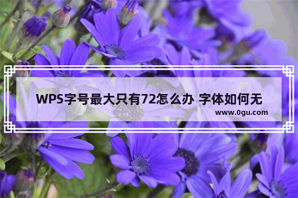 WPS字号最大只有72怎么办 字体如何无限放大？