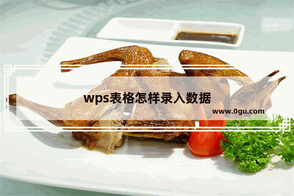 wps表格怎样录入数据