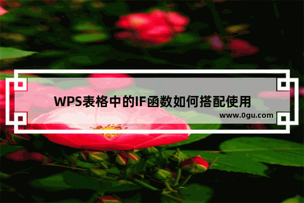 WPS表格中的IF函数如何搭配使用