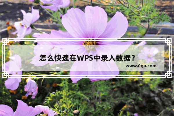 怎么快速在WPS中录入数据？