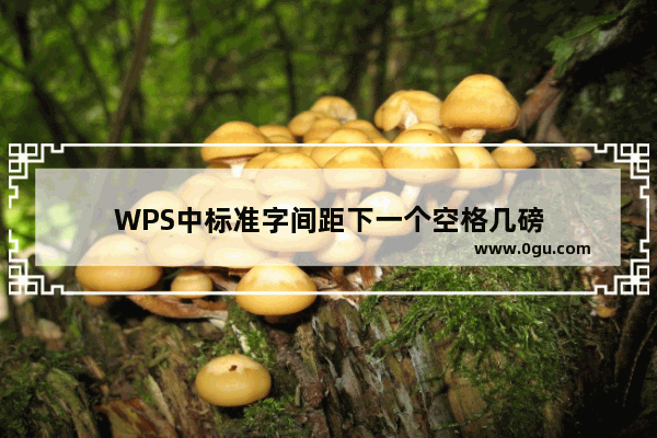 WPS中标准字间距下一个空格几磅