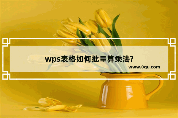 wps表格如何批量算乘法?