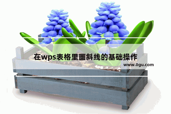 在wps表格里画斜线的基础操作