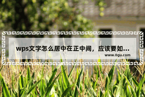 wps文字怎么居中在正中间，应该要如何处理