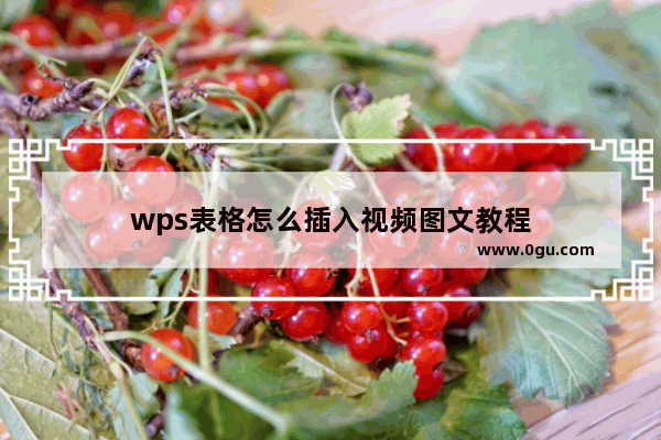 wps表格怎么插入视频图文教程
