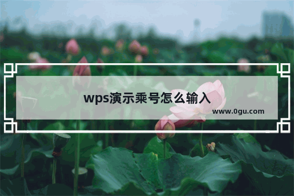 wps演示乘号怎么输入