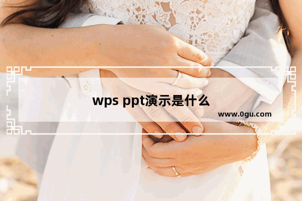 wps ppt演示是什么
