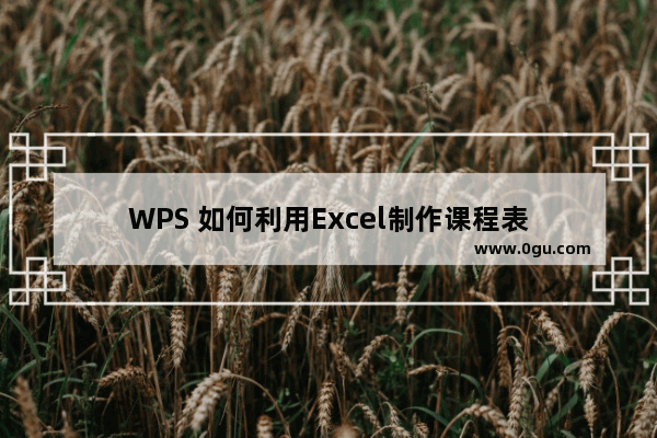 WPS 如何利用Excel制作课程表