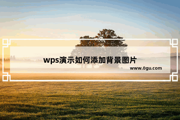wps演示如何添加背景图片