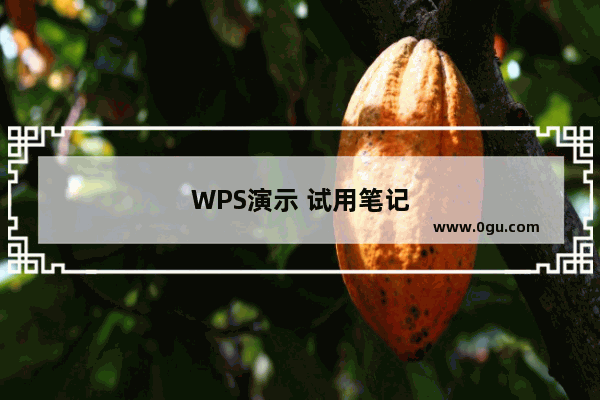 WPS演示 试用笔记