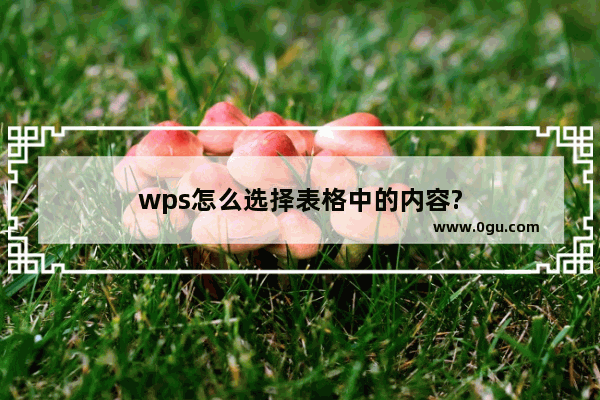 wps怎么选择表格中的内容?