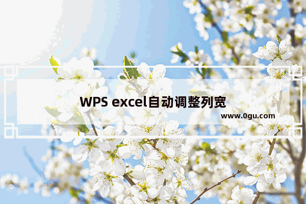 WPS excel自动调整列宽