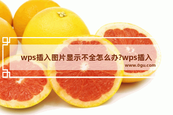 wps插入图片显示不全怎么办?wps插入图片显示不全的解决办法