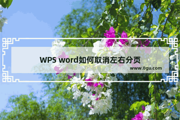 WPS word如何取消左右分页