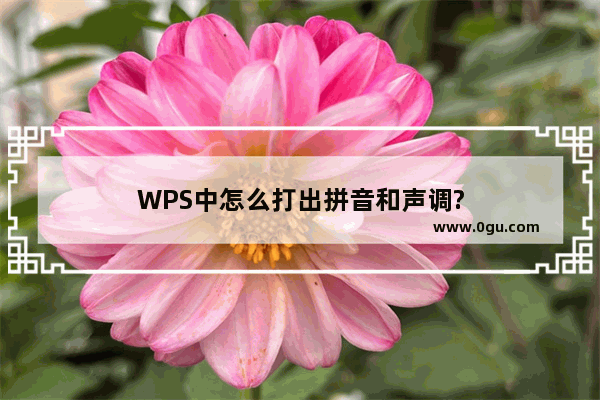 WPS中怎么打出拼音和声调?