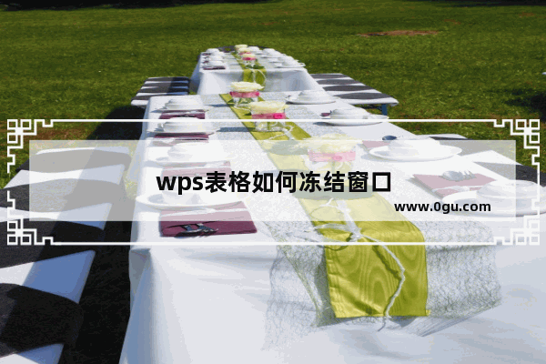 wps表格如何冻结窗口