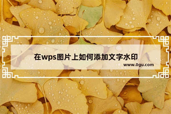 在wps图片上如何添加文字水印