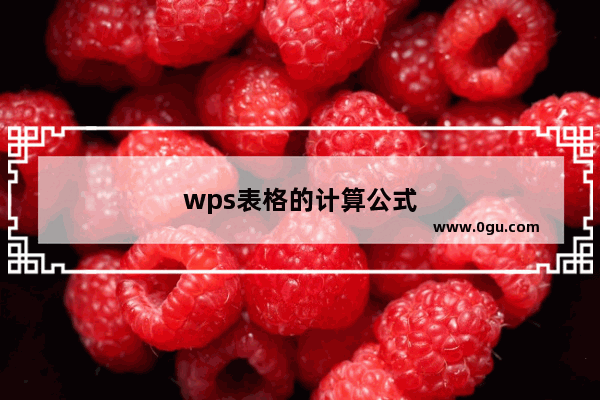 wps表格的计算公式