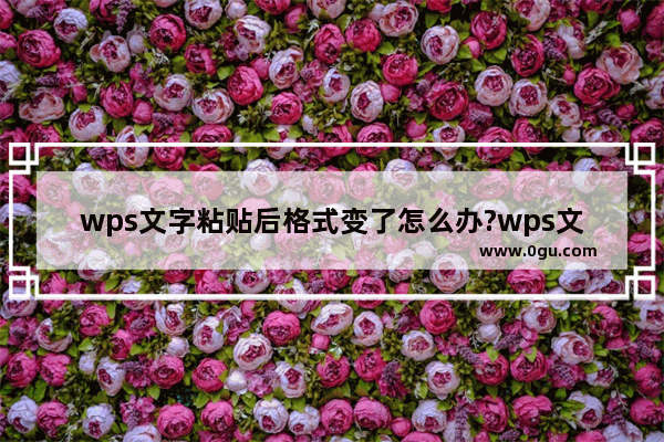 wps文字粘贴后格式变了怎么办?wps文字粘贴后格式不变的方法教程