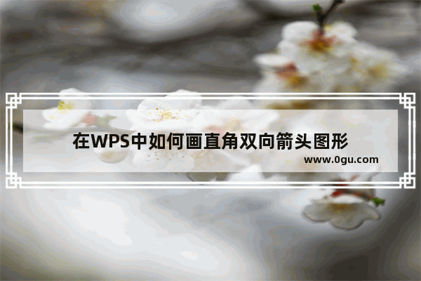 在WPS中如何画直角双向箭头图形