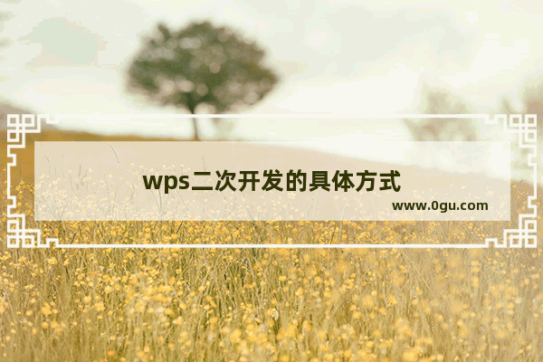 wps二次开发的具体方式