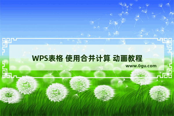 WPS表格 使用合并计算 动画教程
