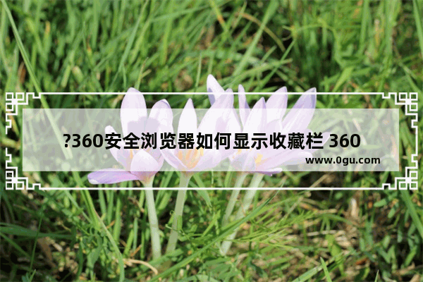 ?360安全浏览器如何显示收藏栏 360安全浏览器调出上方收藏栏的方法教程