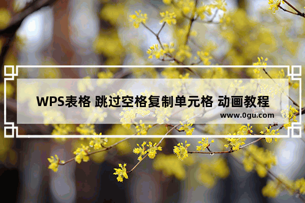 WPS表格 跳过空格复制单元格 动画教程