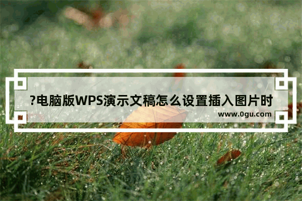 ?电脑版WPS演示文稿怎么设置插入图片时询问是否压缩