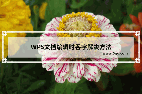 WPS文档编辑时吞字解决方法