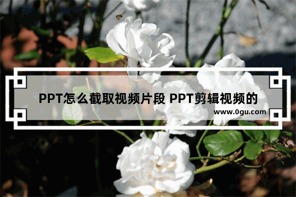 PPT怎么截取视频片段 PPT剪辑视频的方法