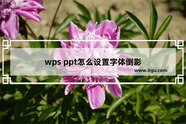 wps ppt怎么设置字体倒影