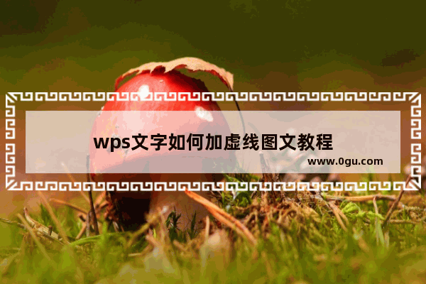 wps文字如何加虚线图文教程