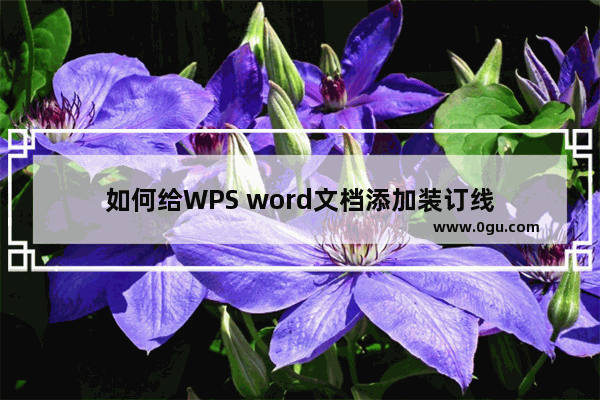 如何给WPS word文档添加装订线