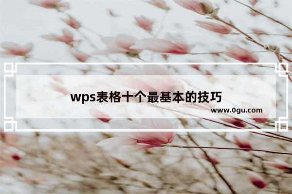 wps表格十个最基本的技巧