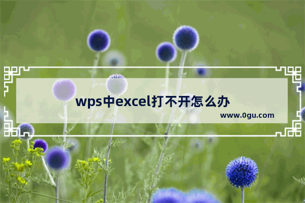 wps中excel打不开怎么办